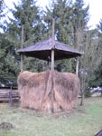 Muzeul Satului