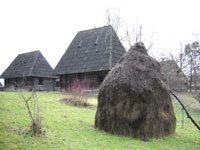 Muzeul Satului