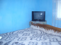 Scara